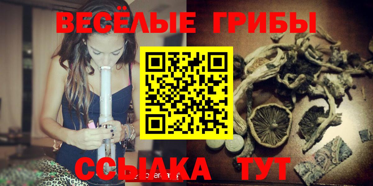 Галлюциногенные грибы GOLDEN TEACHER  Вход с VPN  Тайшет  Галлюциногенные грибы Magic Shrooms 